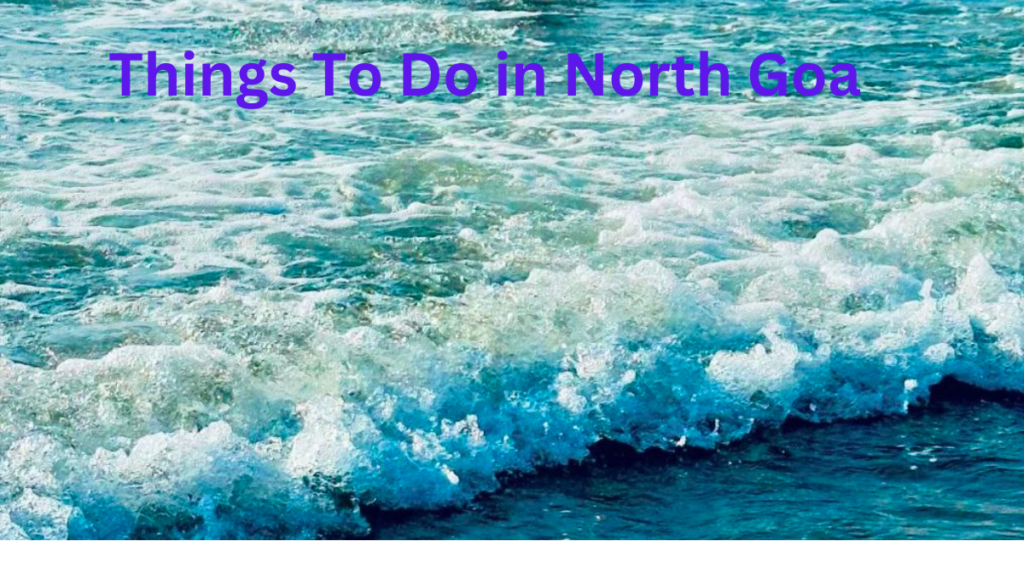 Things To Do in North Goa