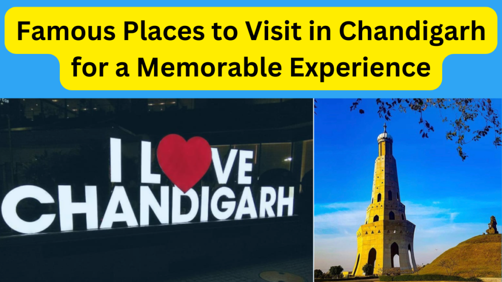 Top Places to Visit in Chandigarh