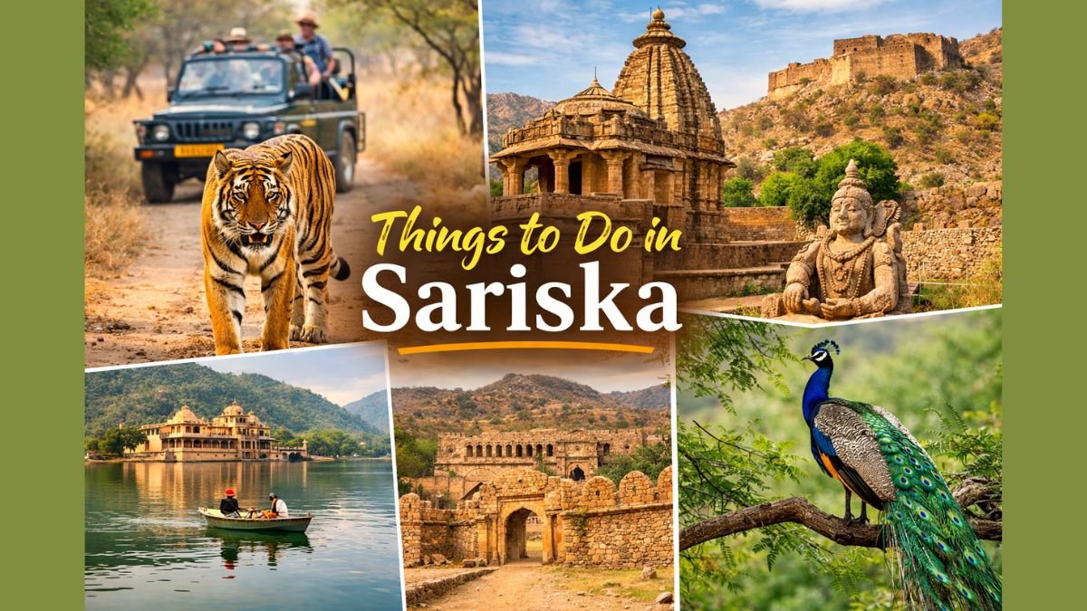 Things to Do in Sariska Safari, Temples, Forts and Nature in 2026